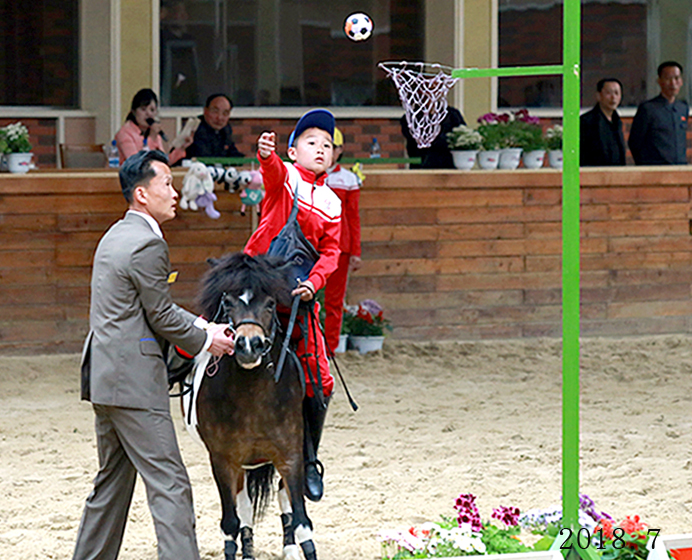 11-인민의 문화정서생활기지-미림승마구락부